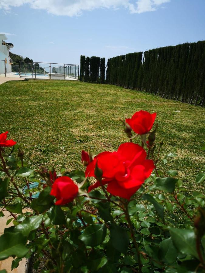 Dana II Eurogolf, Vistas, Wifi, Piscina Y Parking Daire Benalmádena Dış mekan fotoğraf